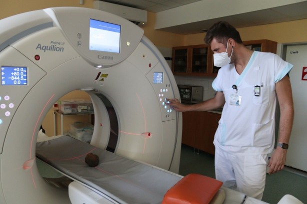 Foto - Toprağı eşeleyen köpek 14. yüzyıldan kalma hazine buldu!