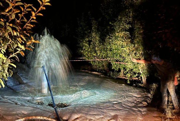 Toprağı kazdıkça yerin altından fışkırdı! Boyu 1 metreyi geçti, mahalleli sevinçten havalara uçtu