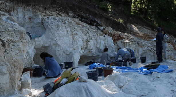 Foto - Toprağı kazdılar, bataklığın içerisinden çıkardılar! Çıktıkça yenisi göründü! Dünyada eşi benzeri yok