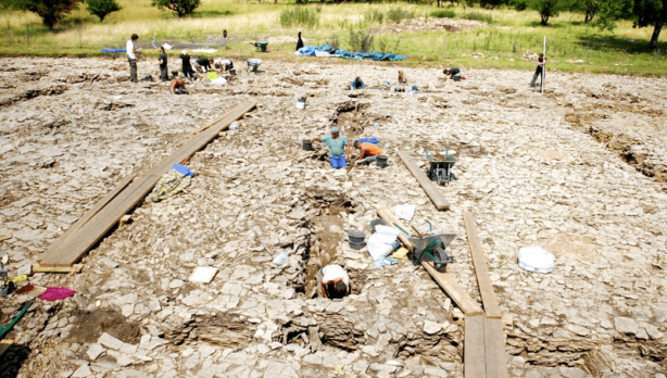 Foto - Toprağı kazdılar, bataklığın içerisinden çıkardılar! Çıktıkça yenisi göründü! Dünyada eşi benzeri yok