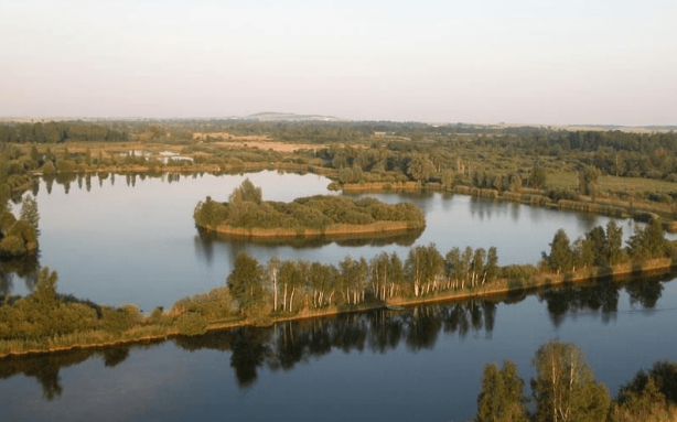 Foto - Toprağı kazdılar, bataklığın içerisinden çıkardılar! Çıktıkça yenisi göründü! Dünyada eşi benzeri yok