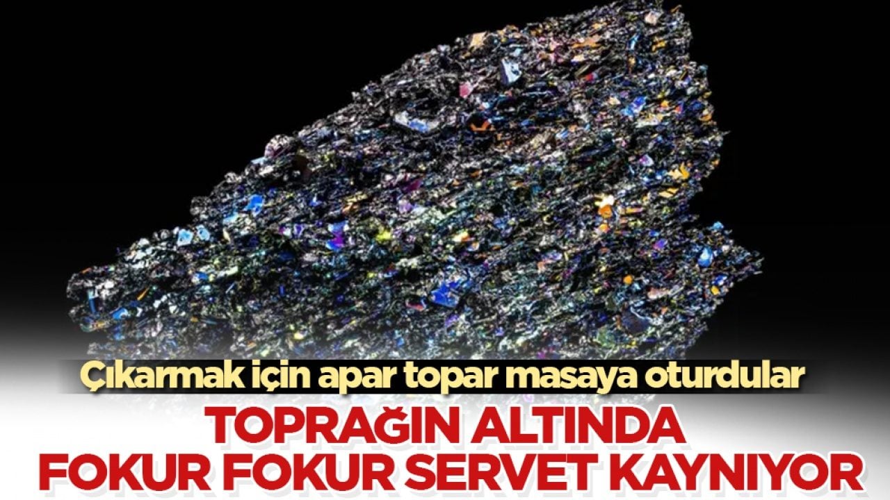 Toprağın altında fokur fokur servet kaynıyor: Çıkarmak için apar topar masaya oturdular