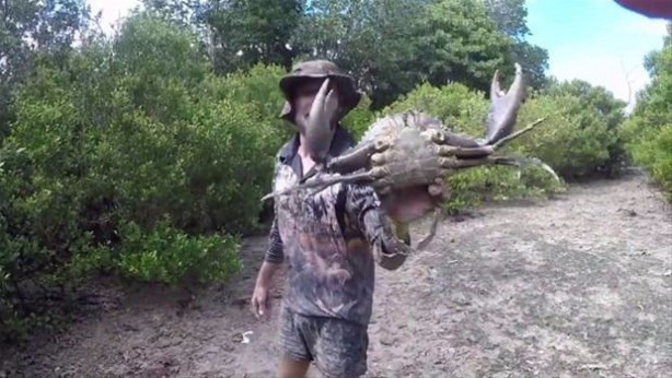 Foto - Toprağın altından çıkardı! Devasa boyutta!