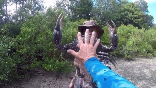 Foto - Toprağın altından çıkardı! Devasa boyutta!