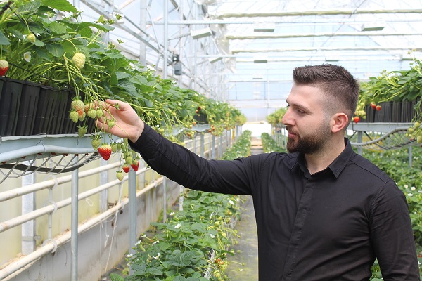 Foto - Toprak derdi yok! Türkiye’de üretiliyor dünya alıyor
