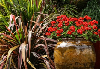 Foto - Toprak dibine 1 kaşık ekleyin! Yine durum maalesef vahim diyenler: Çiçeğinizin solgunluğuna son veriyor ve çiçek açıyor