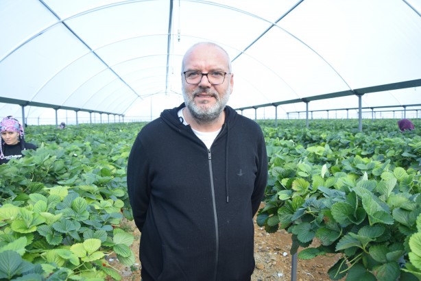 Foto - Toprak olmadan üretiliyor! Rusya, Malezya ve Singapur ısrarla Türkiye'den istemeye başladı