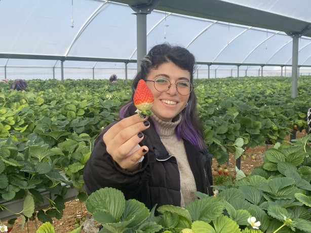 Foto - Toprak olmadan üretiliyor! Rusya, Malezya ve Singapur ısrarla Türkiye'den istemeye başladı