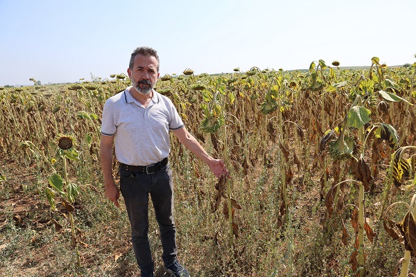 Foto - Toprak sıcaktan bu hale geldi! 