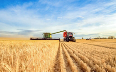 Foto - Topraklarından altın fışkıran ülkeden Türkiye'ye görülmemiş teklif: Yüzde 50'si bizden