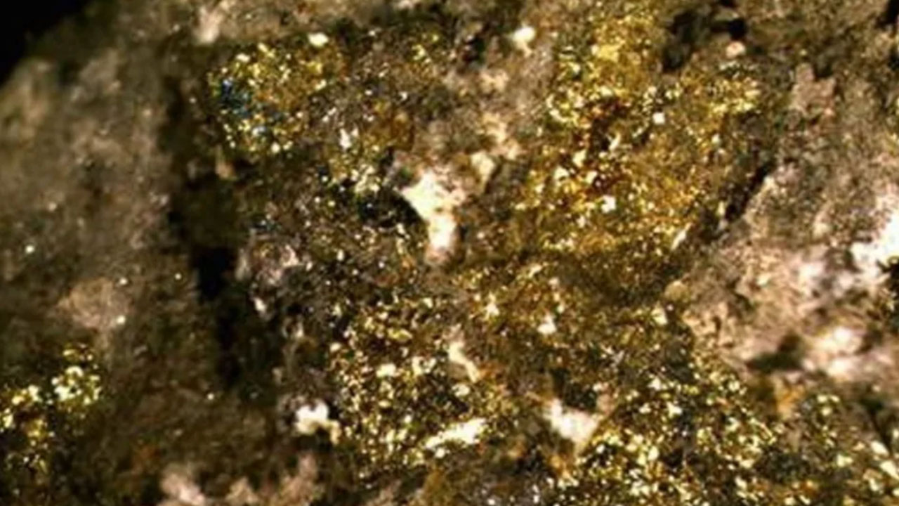 Foto - Topraklarından altın fışkıran ülkeden Türkiye'ye görülmemiş teklif: Biz çok bulamıyoruz gelin siz bulun