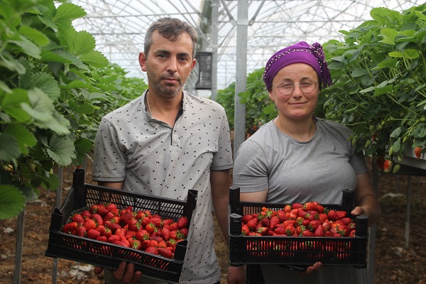 Foto - Topraksız tarım sistemiyle üretime başladılar! Yıllık kazanç hedefi 5 milyon TL 