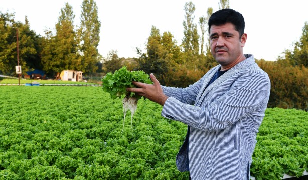 Foto - Topraksız tarım yaptı! Aldığı sonucu Türkiye'ye duyurdu