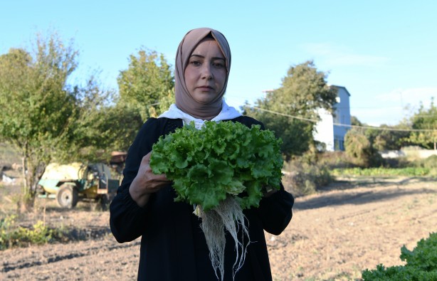 Foto - Topraksız tarım yaptı! Aldığı sonucu Türkiye'ye duyurdu