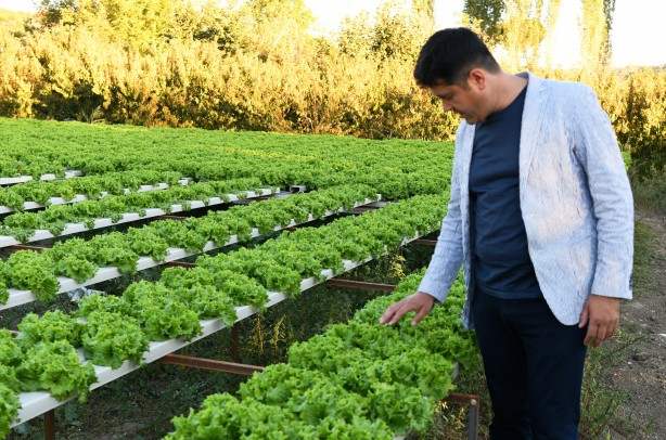 Foto - Topraksız tarım yaptı! Aldığı sonucu Türkiye'ye duyurdu