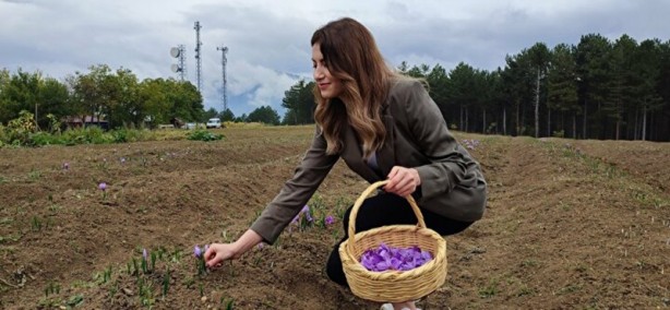 Foto - Toprakta yetişiyor... Kilosu tam 60 bin lira! O ülkeler sıraya girdi