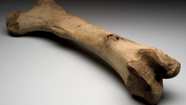 Foto - Topraktan çıkardıkları 1,5 milyon yıllık kemiğe bir kesik atıp beklediler! Ortaya çıkan manzara herkesi şok etti