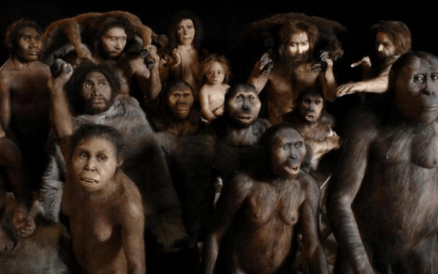 Foto - Topraktan çıkardıkları 1,5 milyon yıllık kemiğe bir kesik atıp beklediler! Ortaya çıkan manzara herkesi şok etti