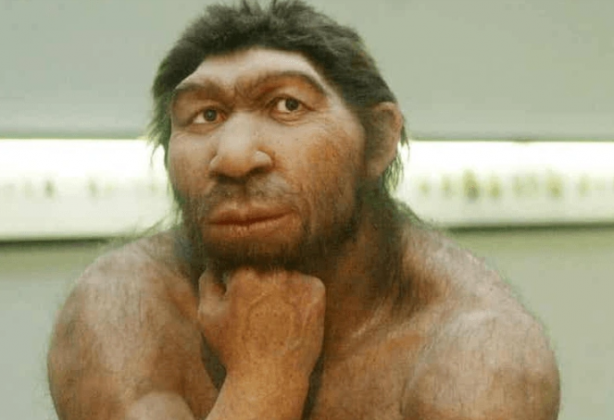 Foto - Topraktan çıkardıkları 1,5 milyon yıllık kemiğe bir kesik atıp beklediler! Ortaya çıkan manzara herkesi şok etti