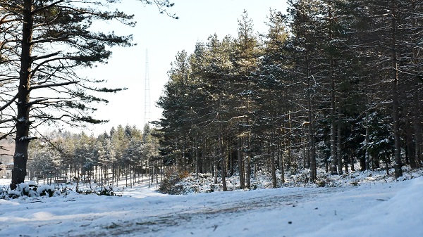 Foto - Topuk Yaylası beyaza büründü