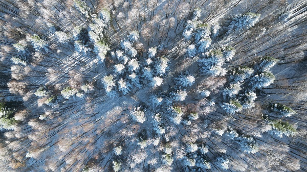 Topuk Yaylası beyaza büründü