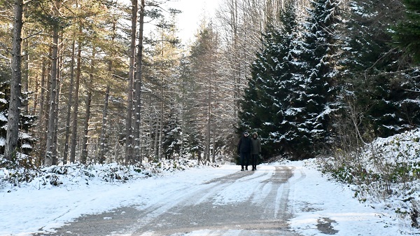 Foto - Topuk Yaylası beyaza büründü