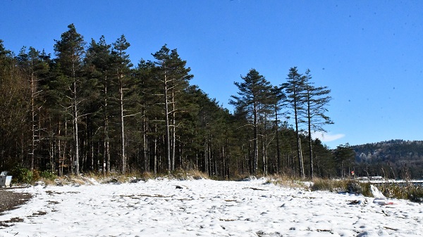 Foto - Topuk Yaylası beyaza büründü