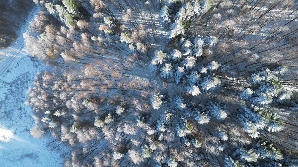 Foto - Topuk Yaylası beyaza büründü