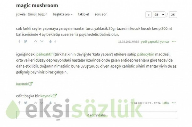 Foto - Torbacıların yeni adresi Ekşisözlük! Gençliğe yönelik büyük tehdit