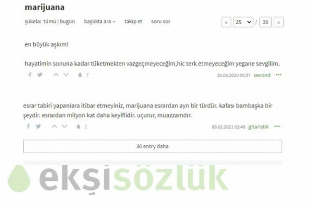 Foto - Torbacıların yeni adresi Ekşisözlük! Gençliğe yönelik büyük tehdit