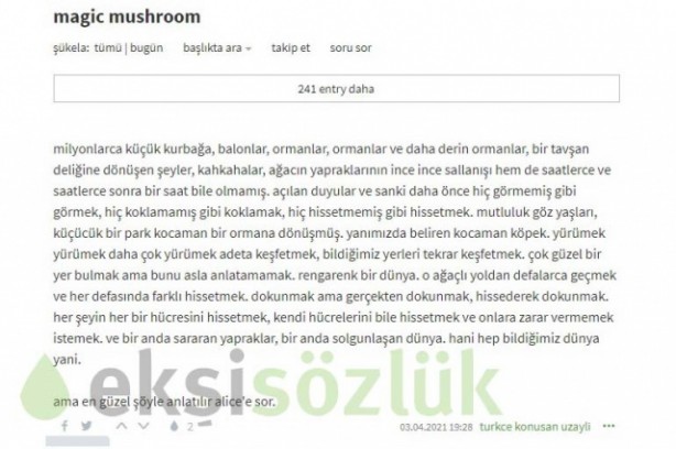 Foto - Torbacıların yeni adresi Ekşisözlük! Gençliğe yönelik büyük tehdit