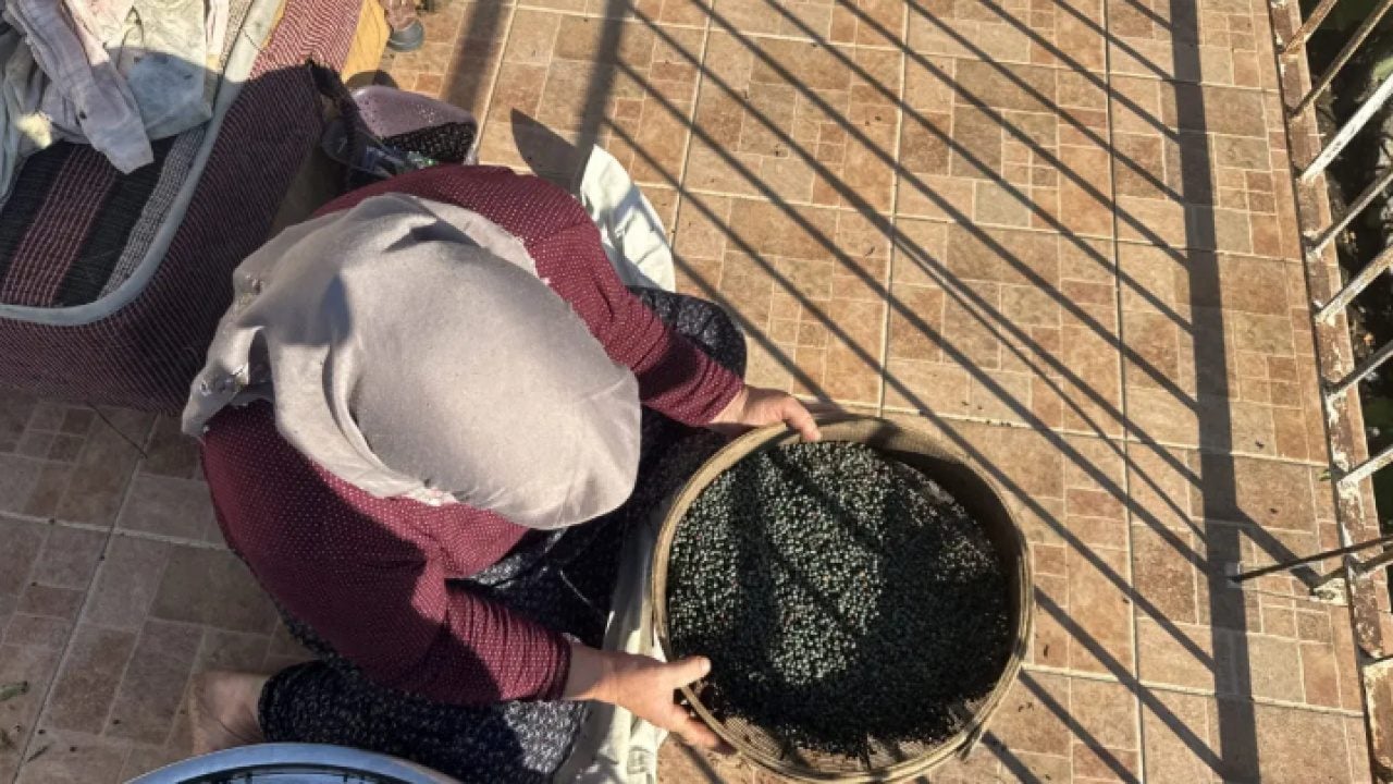 Foto - Toros Dağların'dan sofralara: Meyvesi 300, yağı bin 200 lira