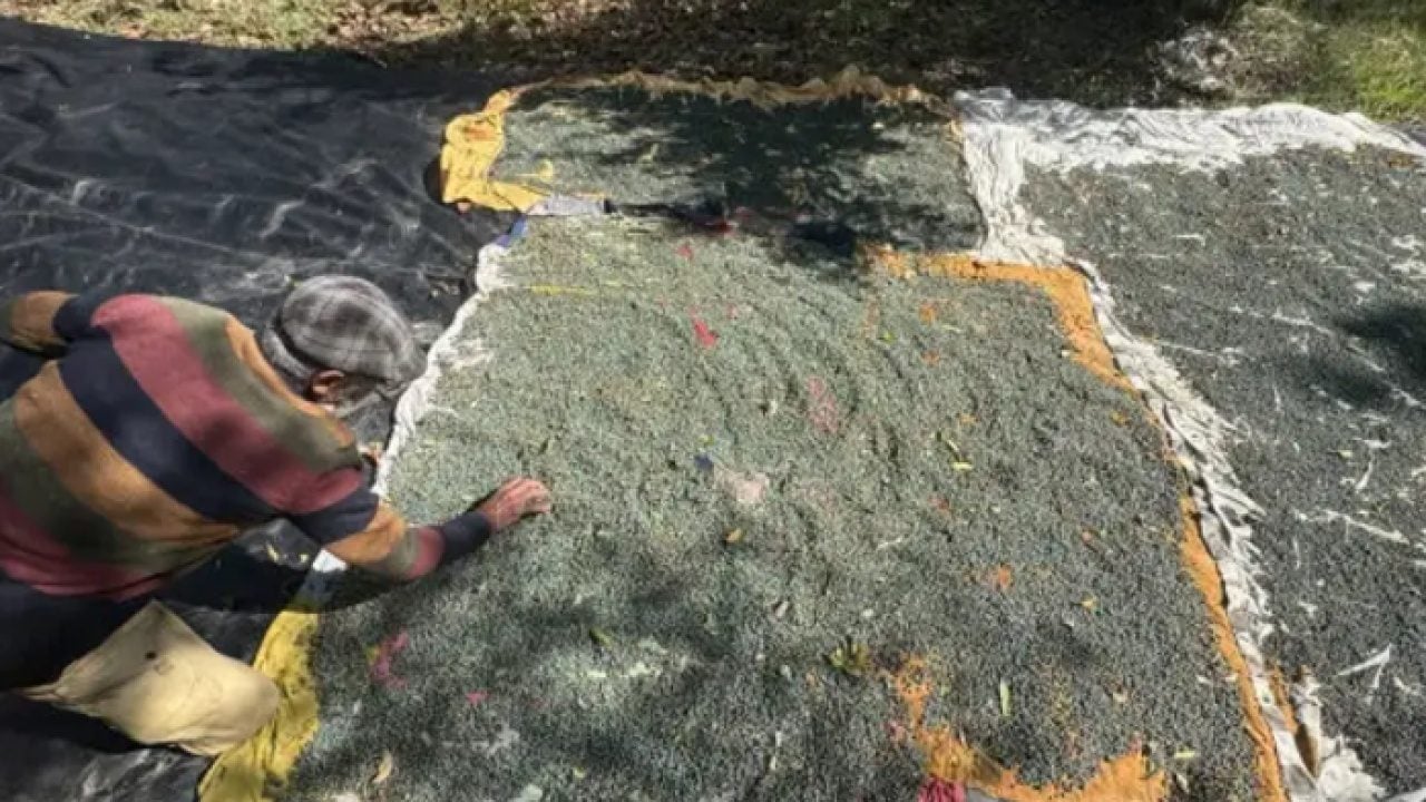 Foto - Toros Dağların'dan sofralara: Meyvesi 300, yağı bin 200 lira