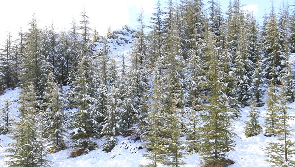 Foto - Toroslar'da kartpostallık görüntüler