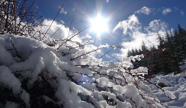 Toroslar'da kartpostallık görüntüler