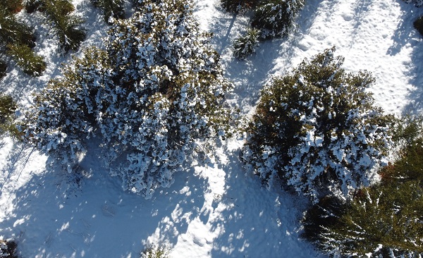 Foto - Toroslar'da kartpostallık görüntüler