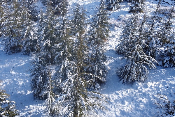 Foto - Toroslar'da kartpostallık görüntüler