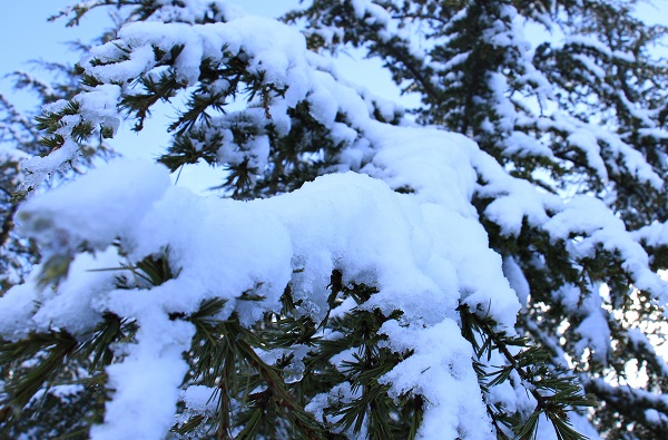Foto - Toroslar'da kartpostallık görüntüler