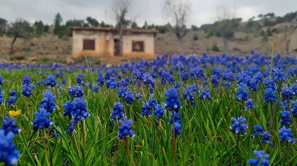 Foto - Toroslardan kartpostallık manzara