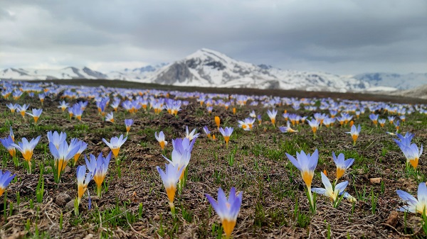 Foto - Toroslardan kartpostallık manzara