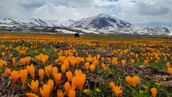 Foto - Toroslardan kartpostallık manzara