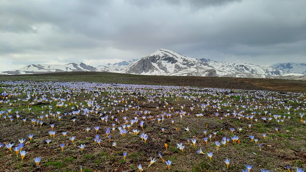 Foto - Toroslardan kartpostallık manzara