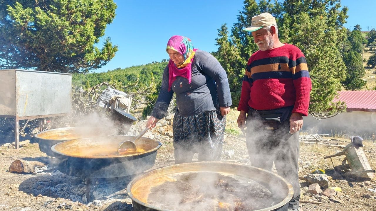 Toroslar'ın 1800 rakımlı zirvesinde harnup mesaisi
