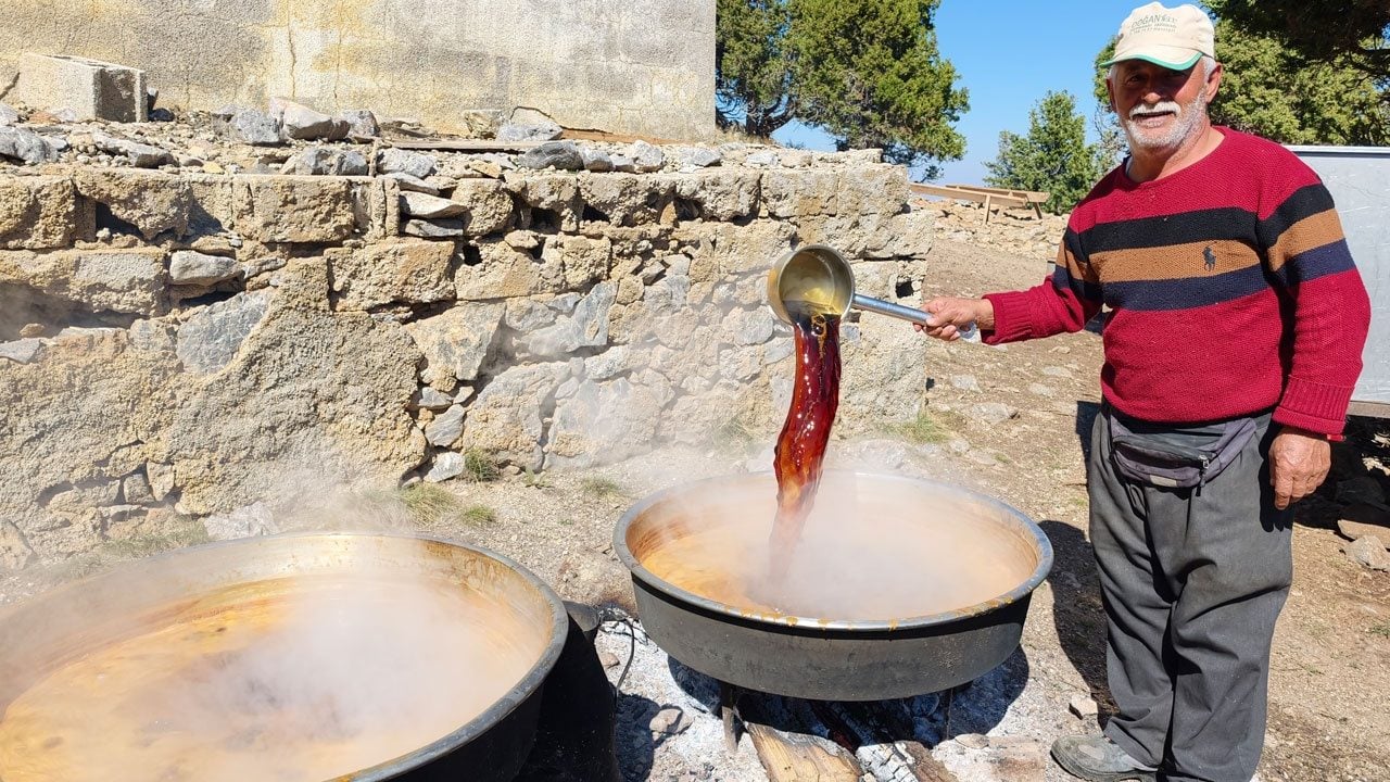 Foto - Toroslar'ın 1800 rakımlı zirvesinde harnup mesaisi