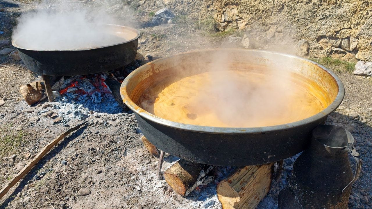 Foto - Toroslar'ın 1800 rakımlı zirvesinde harnup mesaisi