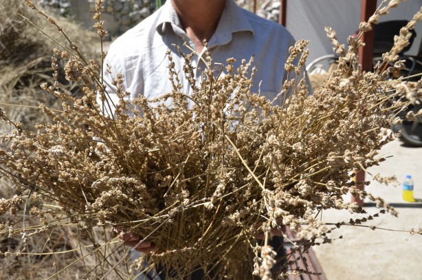Foto - Torosların şifa dağıtan adamı