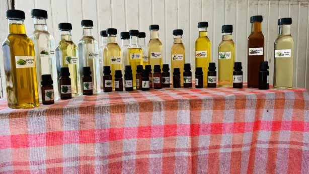 Foto - Torosların şifa dağıtan adamı