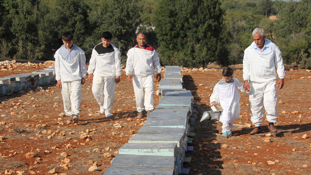 Foto - Torosların zirvesinden dünyaya! Bu bal Fransa ve İngiltere’den 3 ödül aldı