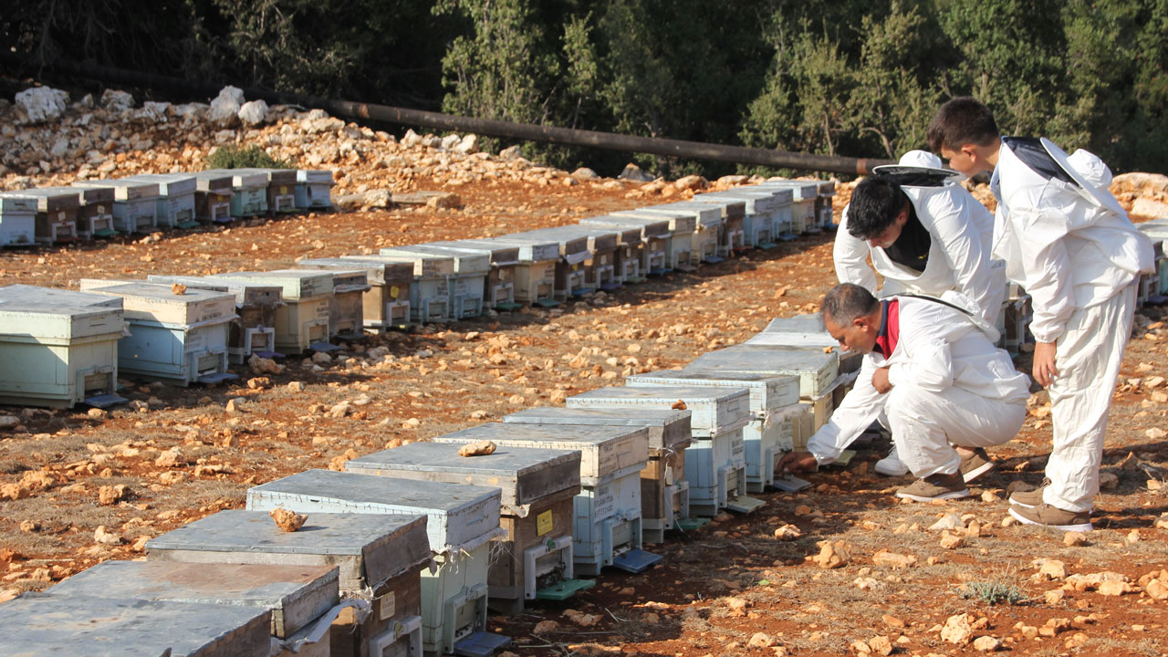 Foto - Torosların zirvesinden dünyaya! Bu bal Fransa ve İngiltere’den 3 ödül aldı