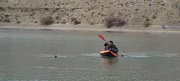Foto - Tortum Gölü'nde yürekleri ısıtan görüntü